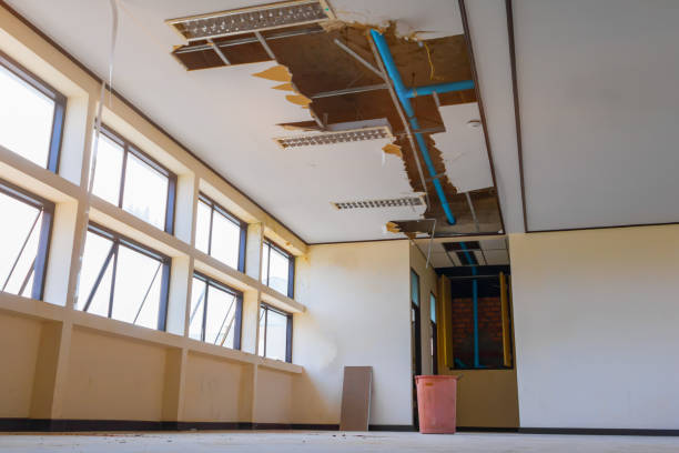 Best Water damage restoration company  in Navarre, OH