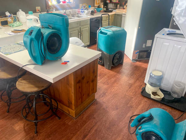 Best Water damage restoration near me  in Navarre, OH
