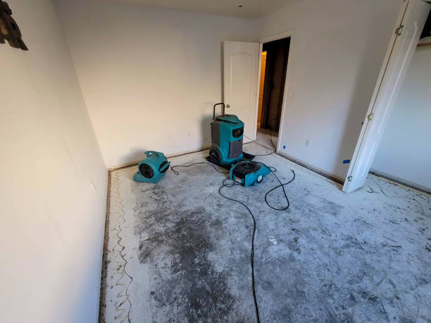 Best Water damage restoration near me  in Navarre, OH
