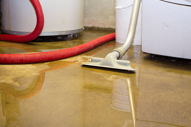 Best Local water damage restoration  in Navarre, OH