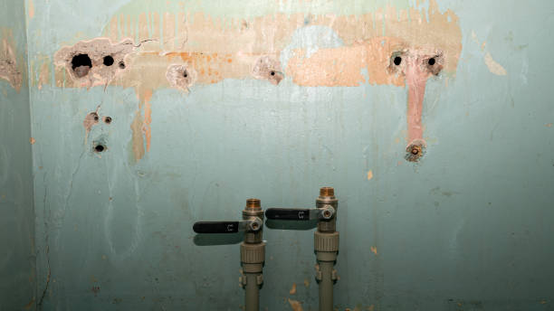 Reliable Navarre, OH Water damage restoration Solutions