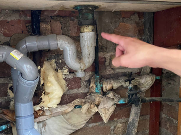 Best Mold removal after water damage  in Navarre, OH