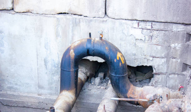 Best Basement water damage restoration  in Navarre, OH