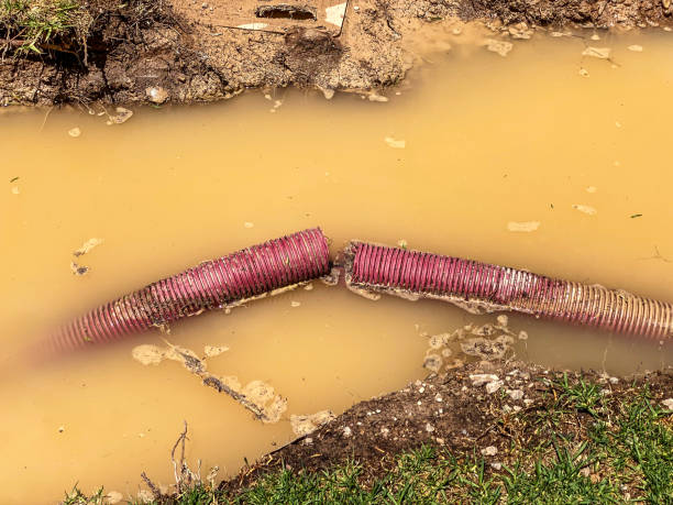 Best Residential water damage restoration  in Navarre, OH